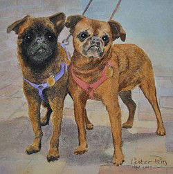 SUES DOGS-Watercolour