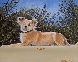 NELSON (rescue dog) - Oil on canvas