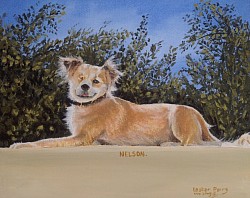 NELSON (rescue dog) - Oil on canvas