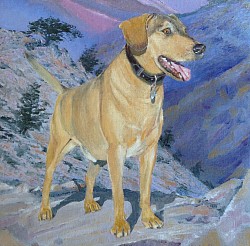 SAM (rescue dog) - Oil on canvas