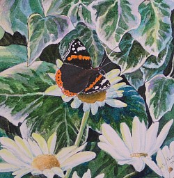 BUTTERFLY AND IVY- Gouache