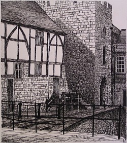 SOUTHAMPTON WALLS - Ink