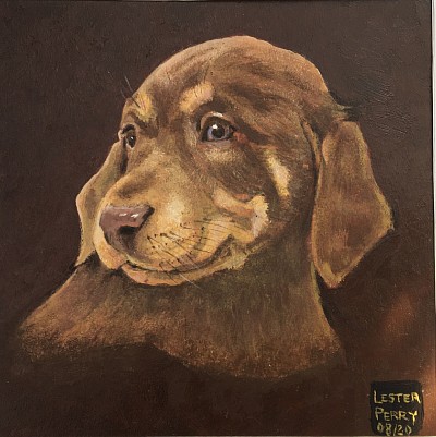 TOFFEE (rescue dog for Karen) - Acrylic on paper