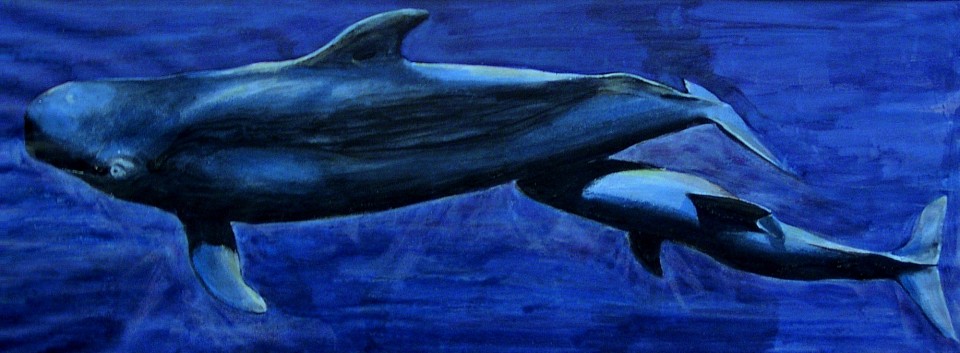 PILOT WHALE &CALF - Acrylics on paper