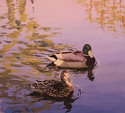 MALLARDS - Gouache on paper