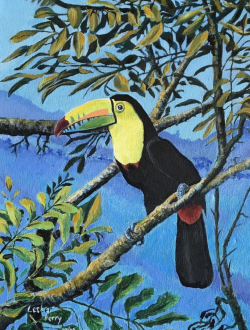 TOUCAN - Acrylic on canvas