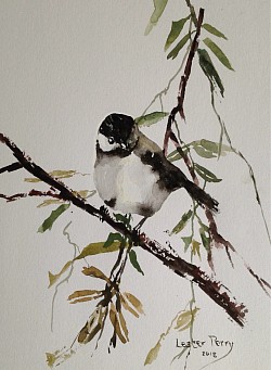 COAL TIT - Watercolour rapid sketch