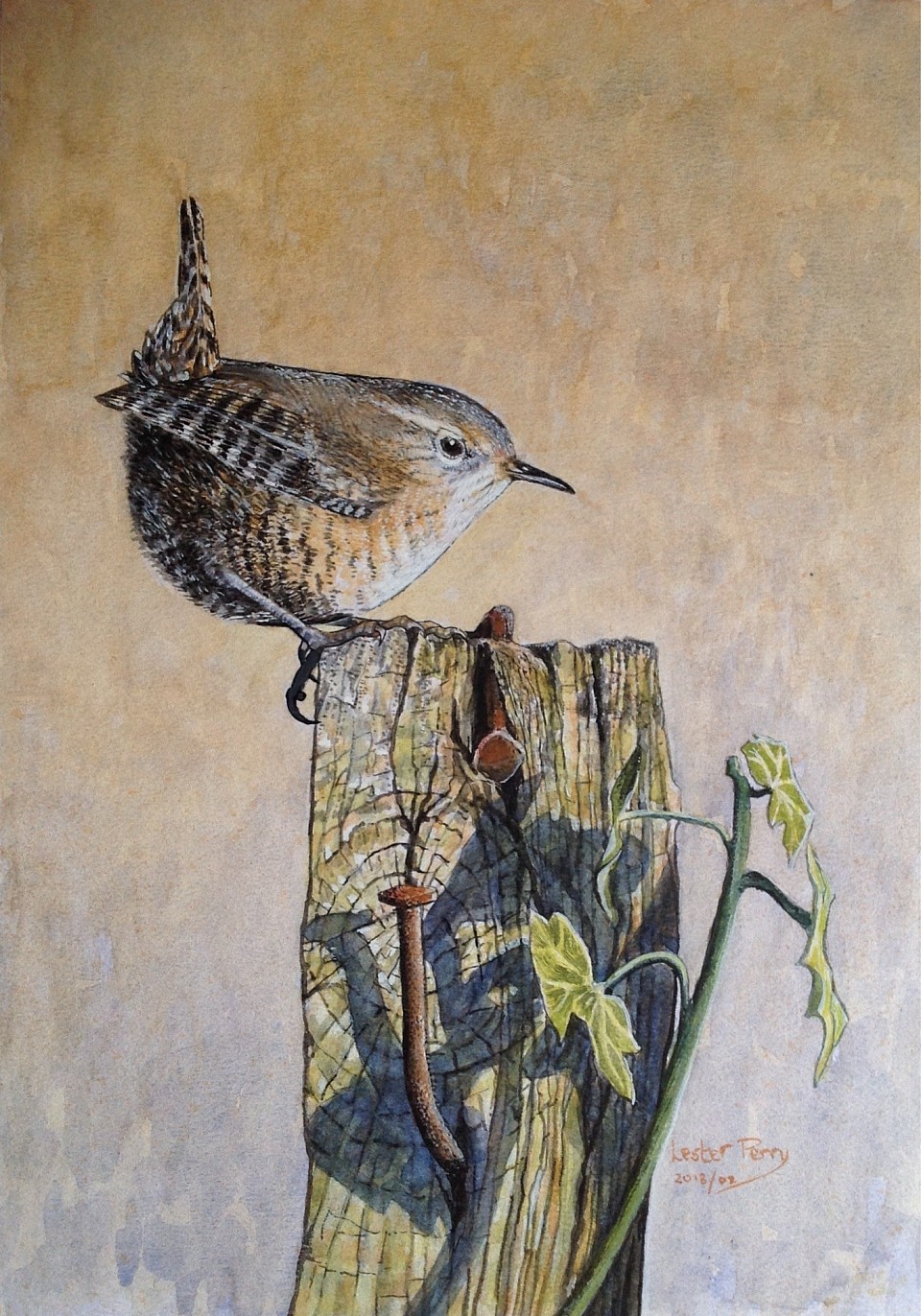 WREN - Acrylics on paper