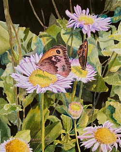 GARDEN GATE BUTTERFLY - Gouache on paper