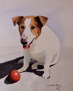 JACK RUSSEL - Watercolour on paper