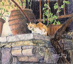 CHANIA CAT ON BALCONY - Coloured pencil