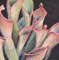 SERIANI PULPIT BY DAY - Watercolour on paper