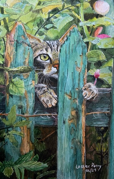 THE PRISONER - Watercolour on paper. Nice to see an image that shows the subject happy and at one with its natural environment.